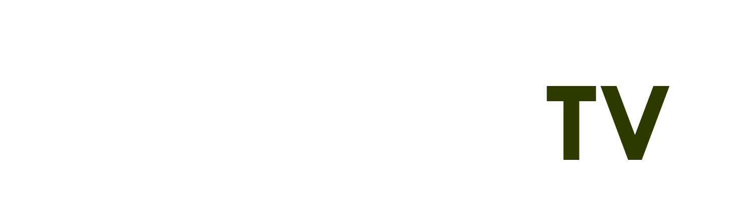 ảnh người đẹp